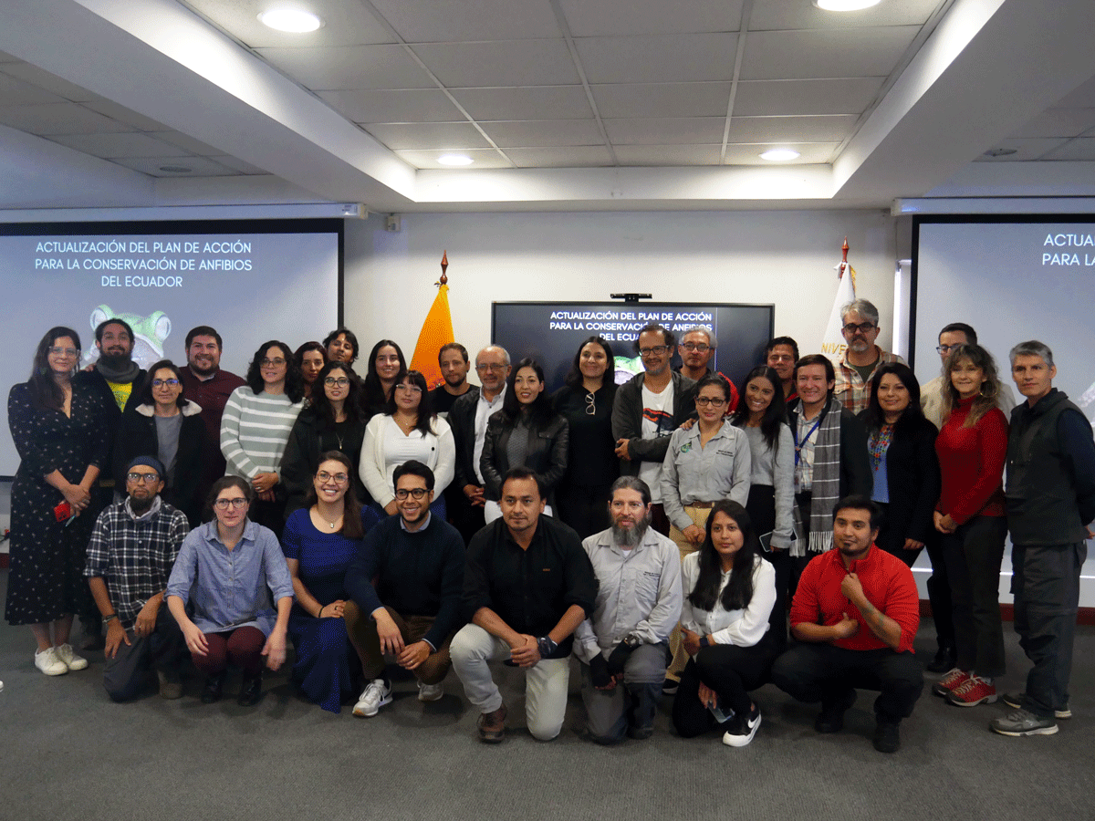 Ecuador actualiza su Plan de Acción para la Conservación de Anfibios